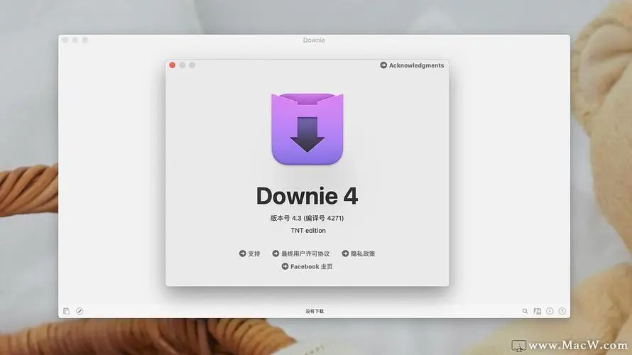 Downie 3.6.4 视频下载工具