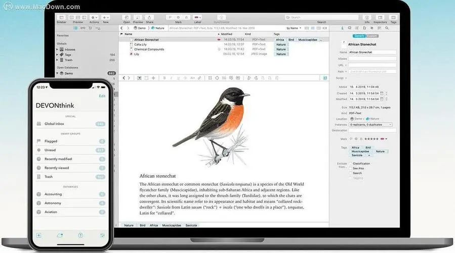 Devonthink Pro Office 2.11.2 文件管理用具