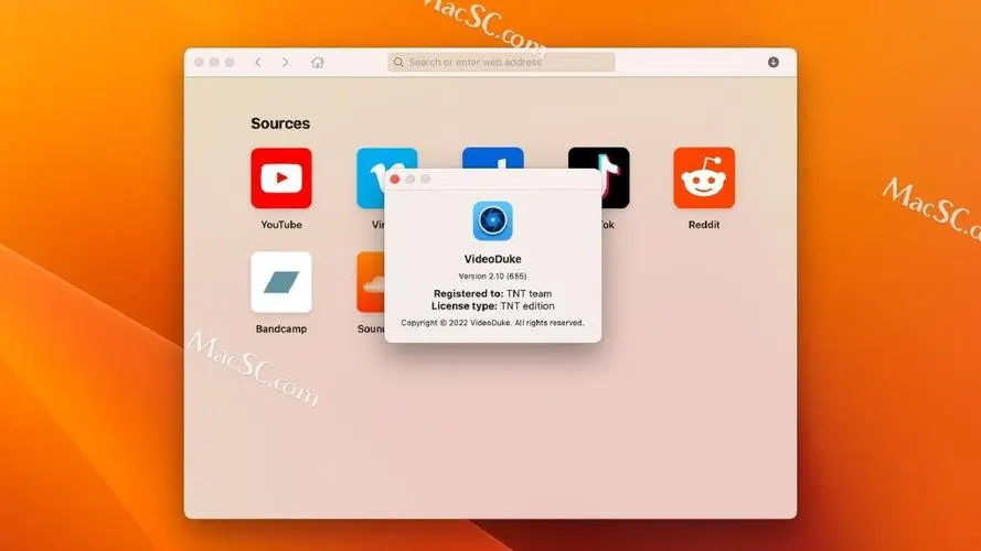 VideoDuke 1.0(204) 视频下载